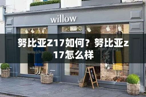 努比亚Z17如何？努比亚z17怎么样-第1张图片-星选测评