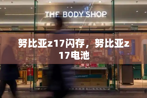 努比亚z17闪存，努比亚z17电池
