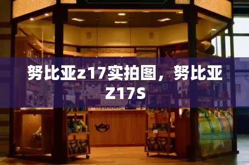 努比亚z17实拍图，努比亚Z17S