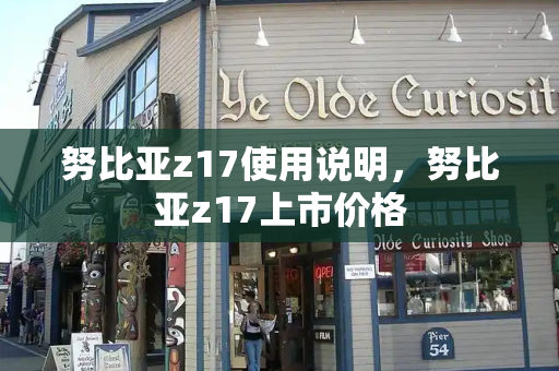努比亚z17使用说明，努比亚z17上市价格