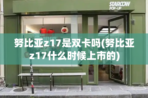 努比亚z17是双卡吗(努比亚z17什么时候上市的)-第1张图片-星选测评