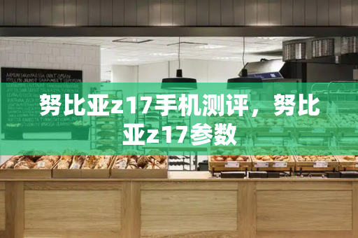 努比亚z17手机测评，努比亚z17参数-第1张图片-星选测评