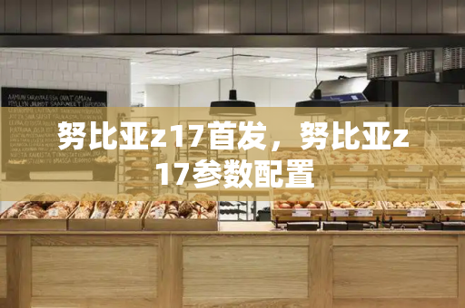 努比亚z17首发，努比亚z17参数配置-第1张图片-星选测评