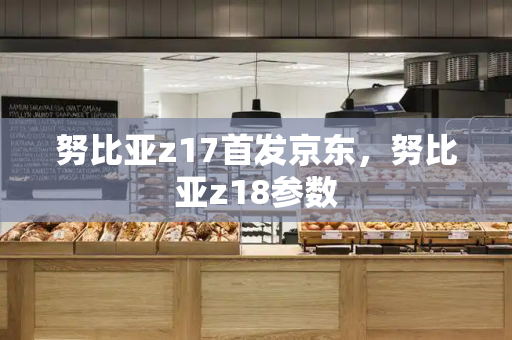 努比亚z17首发京东，努比亚z18参数