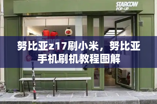 努比亚z17刷小米，努比亚手机刷机教程图解-第1张图片-星选测评