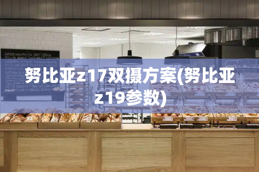 努比亚z17双摄方案(努比亚z19参数)