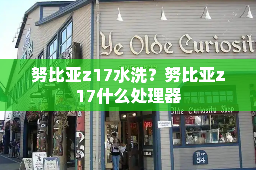 努比亚z17水洗？努比亚z17什么处理器