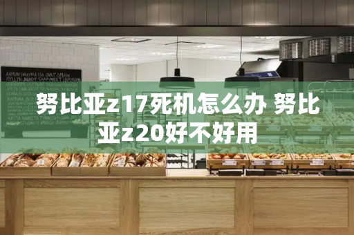 努比亚z17死机怎么办 努比亚z20好不好用