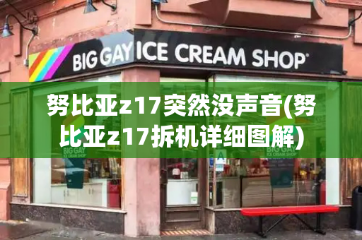 努比亚z17突然没声音(努比亚z17拆机详细图解)-第1张图片-星选测评