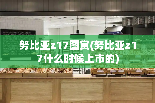 努比亚z17图赏(努比亚z17什么时候上市的)-第1张图片-星选测评