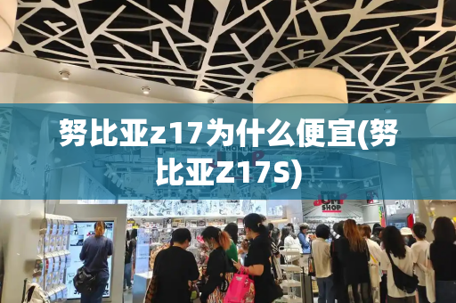 努比亚z17为什么便宜(努比亚Z17S)-第1张图片-星选测评