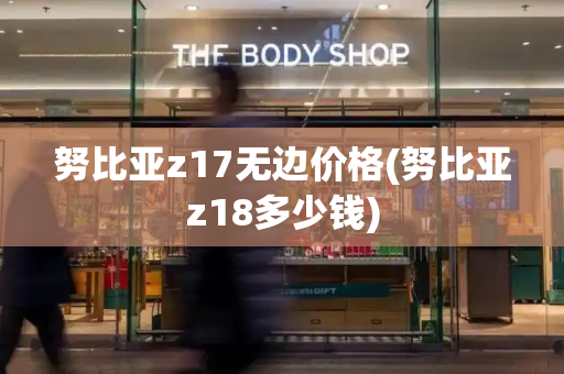 努比亚z17无边价格(努比亚z18多少钱)-第1张图片-星选测评