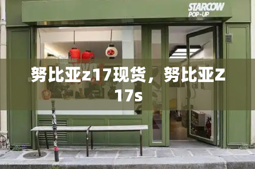 努比亚z17现货，努比亚Z17s-第1张图片-星选测评
