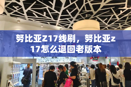 努比亚Z17线刷，努比亚z17怎么退回老版本-第1张图片-星选测评