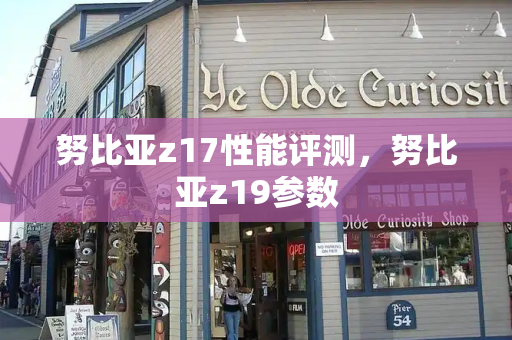 努比亚z17性能评测，努比亚z19参数-第1张图片-星选测评