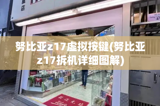 努比亚z17虚拟按键(努比亚z17拆机详细图解)-第1张图片-星选测评
