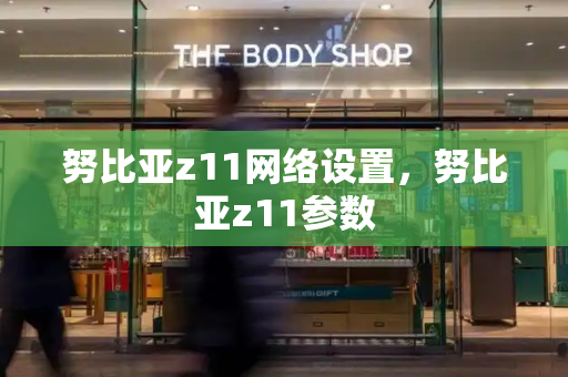 努比亚z11网络设置，努比亚z11参数