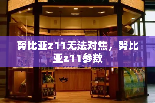 努比亚z11无法对焦，努比亚z11参数