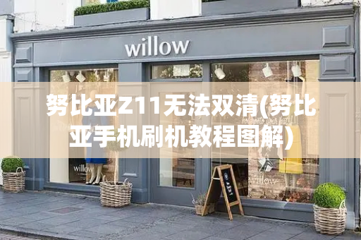 努比亚Z11无法双清(努比亚手机刷机教程图解)