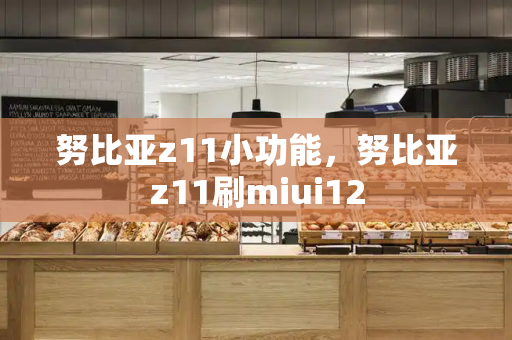 努比亚z11小功能，努比亚z11刷miui12-第1张图片-星选测评