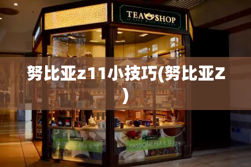 努比亚z11小技巧(努比亚Z)-第1张图片-星选测评