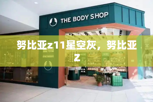 努比亚z11星空灰，努比亚Z