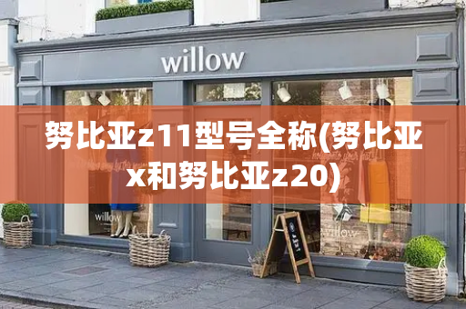 努比亚z11型号全称(努比亚x和努比亚z20)
