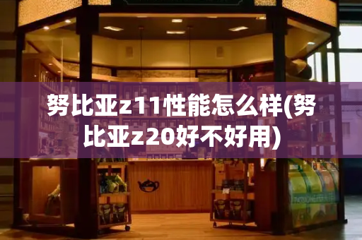 努比亚z11性能怎么样(努比亚z20好不好用)