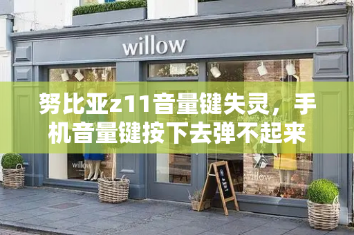 努比亚z11音量键失灵，手机音量键按下去弹不起来