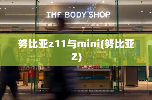努比亚z11与mini(努比亚Z)