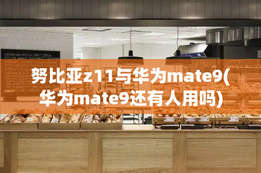努比亚z11与华为mate9(华为mate9还有人用吗)