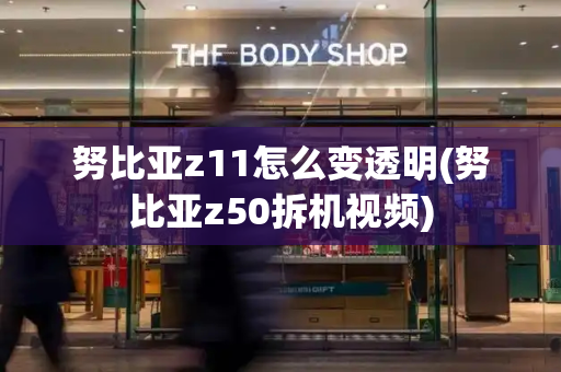 努比亚z11怎么变透明(努比亚z50拆机视频)-第1张图片-星选测评