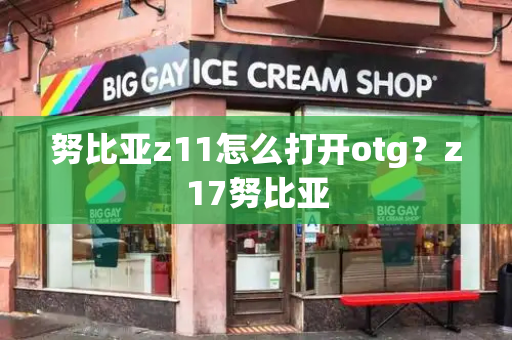 努比亚z11怎么打开otg？z17努比亚-第1张图片-星选测评