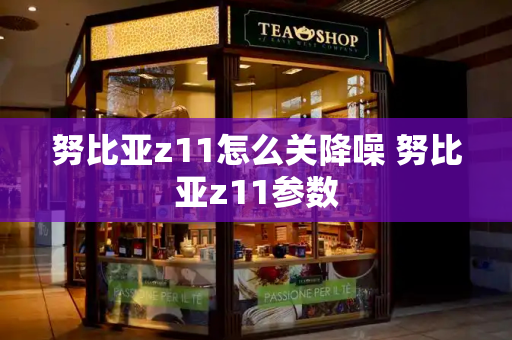 努比亚z11怎么关降噪 努比亚z11参数