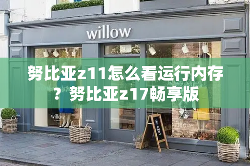 努比亚z11怎么看运行内存？努比亚z17畅享版-第1张图片-星选测评