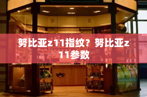 努比亚z11指纹？努比亚z11参数-第1张图片-星选测评