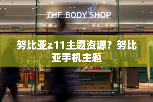 努比亚z11主题资源？努比亚手机主题