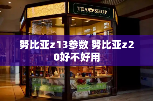 努比亚z13参数 努比亚z20好不好用