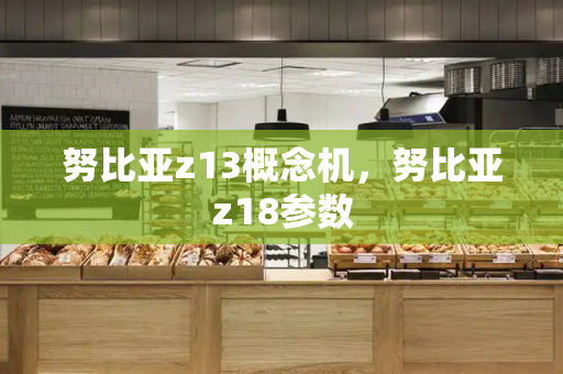 努比亚z13概念机，努比亚z18参数