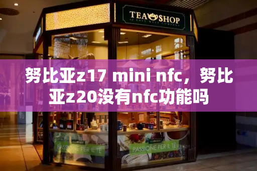 努比亚z17 mini nfc，努比亚z20没有nfc功能吗-第1张图片-星选测评