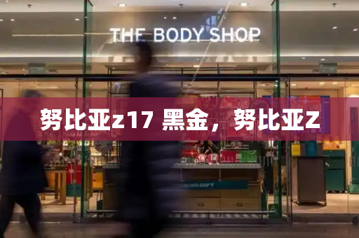 努比亚z17 黑金，努比亚Z