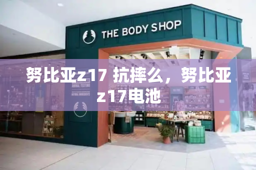 努比亚z17 抗摔么，努比亚z17电池-第1张图片-星选测评