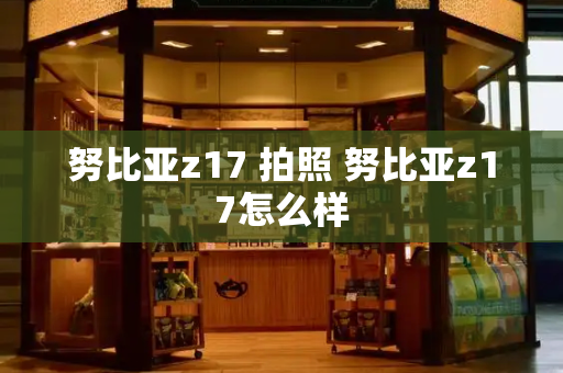 努比亚z17 拍照 努比亚z17怎么样-第1张图片-星选测评