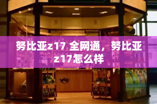 努比亚z17 全网通，努比亚z17怎么样