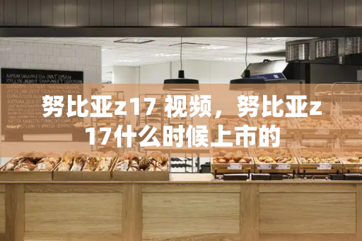 努比亚z17 视频，努比亚z17什么时候上市的-第1张图片-星选测评