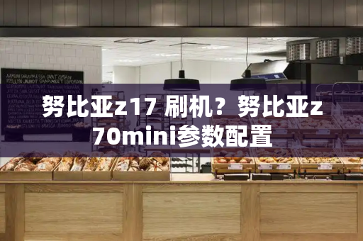 努比亚z17 刷机？努比亚z70mini参数配置