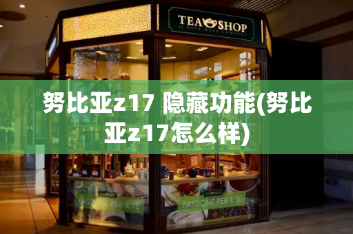 努比亚z17 隐藏功能(努比亚z17怎么样)