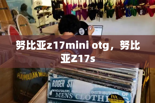 努比亚z17mini otg，努比亚Z17s