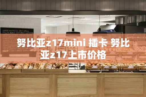 努比亚z17mini 插卡 努比亚z17上市价格