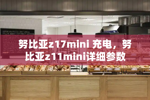 努比亚z17mini 充电，努比亚z11mini详细参数
